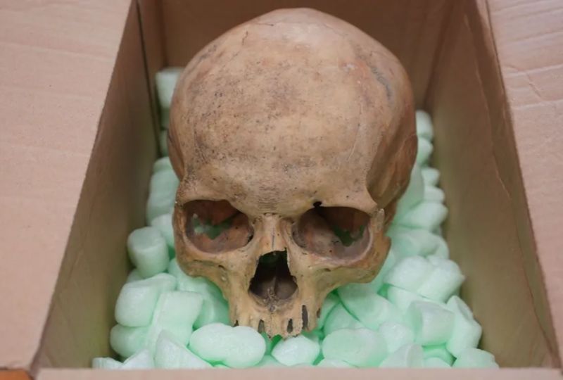 Tourist who stole human skull from cathedral finally sends it back after 60 years